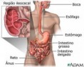 /album/medicina/crohns-disease-affected-areas-picture-jpg/